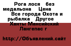 Рога лося , без медальона. › Цена ­ 15 000 - Все города Охота и рыбалка » Другое   . Ханты-Мансийский,Лангепас г.